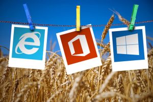 Edge و تمام نسخههای ویندوز توسط مایکروسافت وصله شد