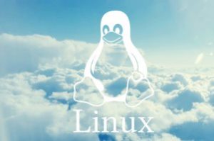 سیستم عامل لینوکس در دنیای پردازش ابری از ویندوز پیش افتاد