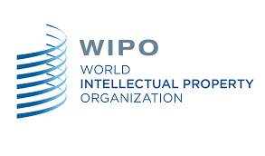 سازمانهای بین المللی و مالکیت فکری (وایپو)