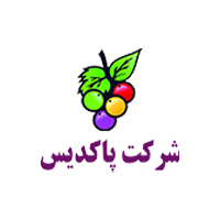 لوگو داستان موفقیت شرکت پاکدیس