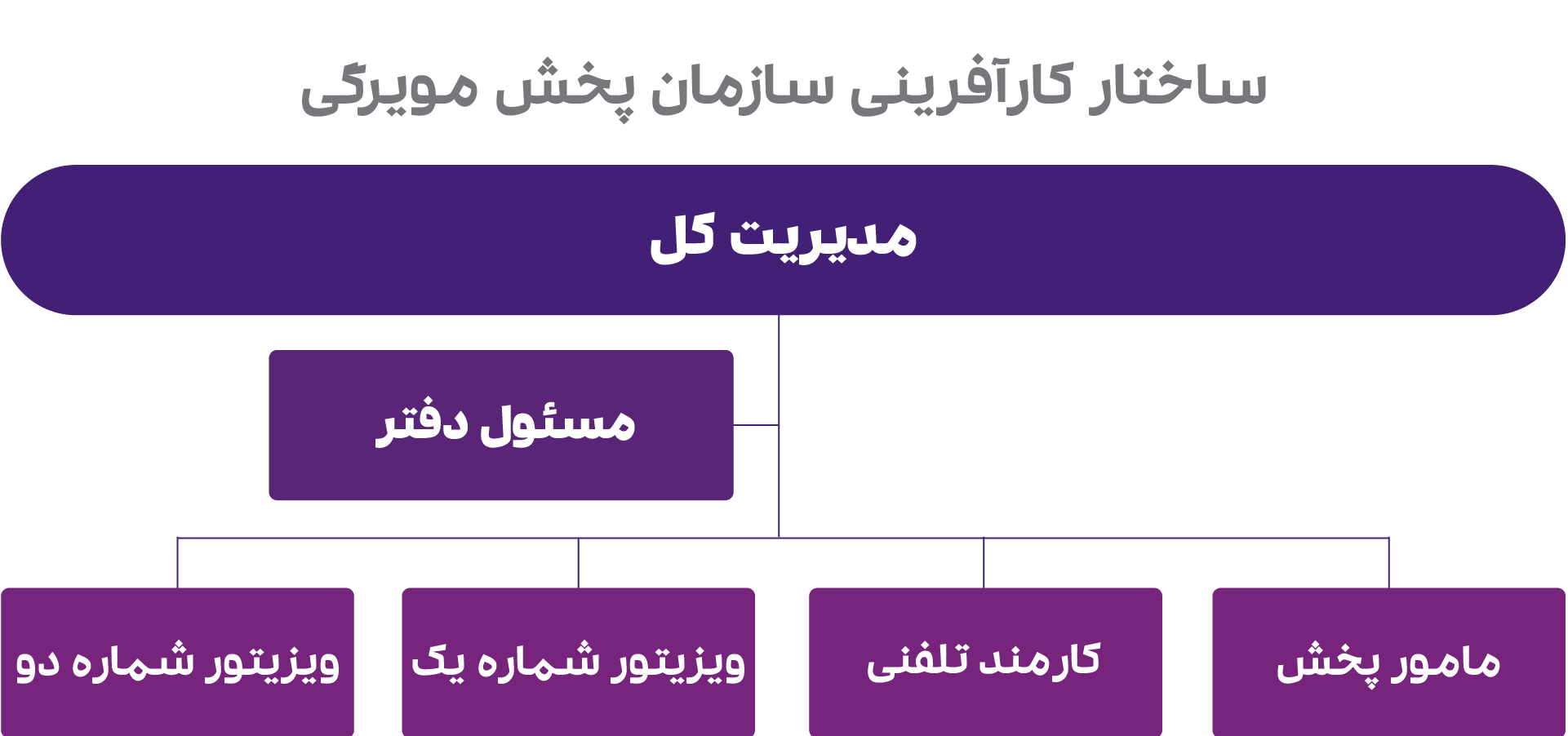 چارت سازمانی شرکت پخش 