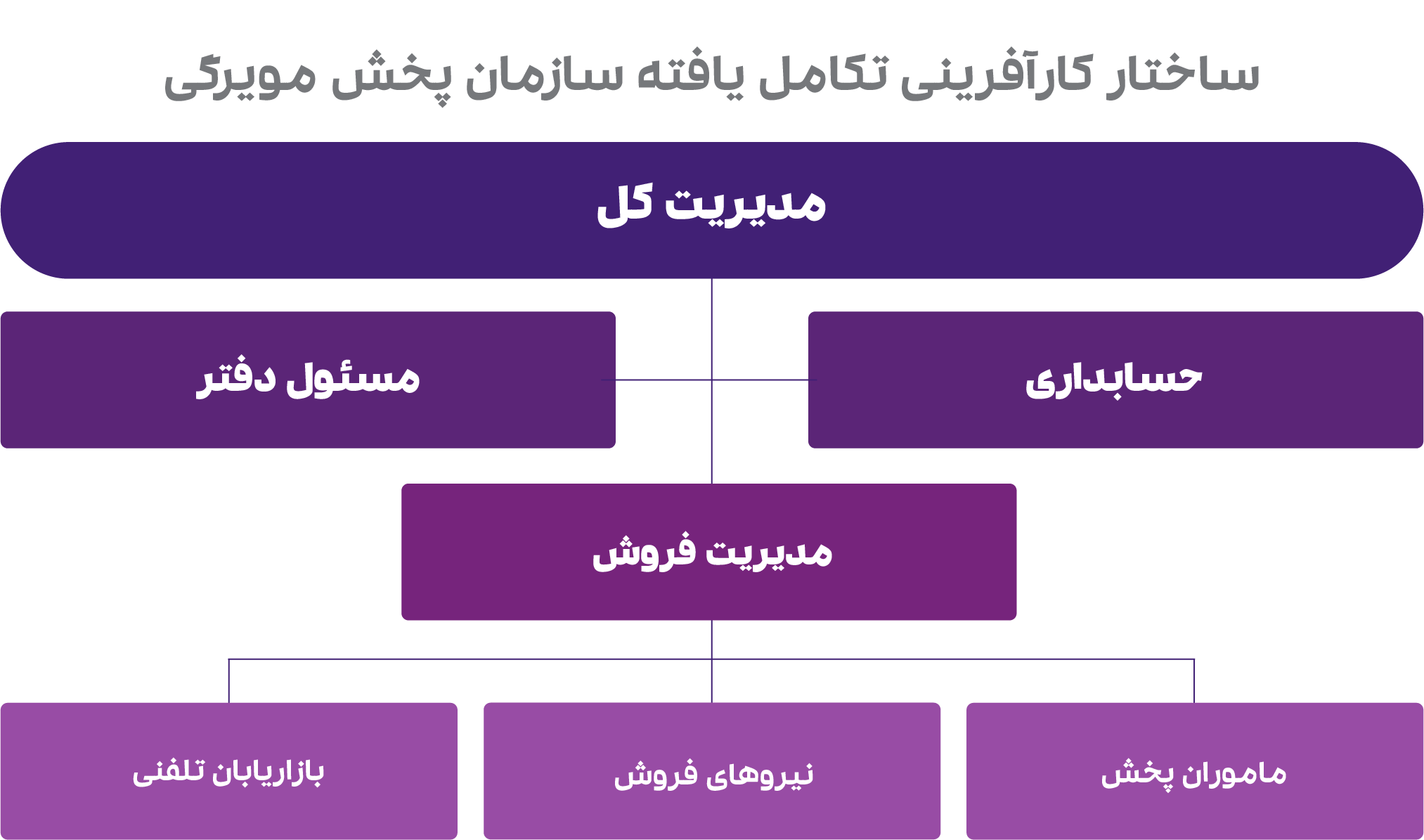 چارت سازمانی پخش مویرگی 