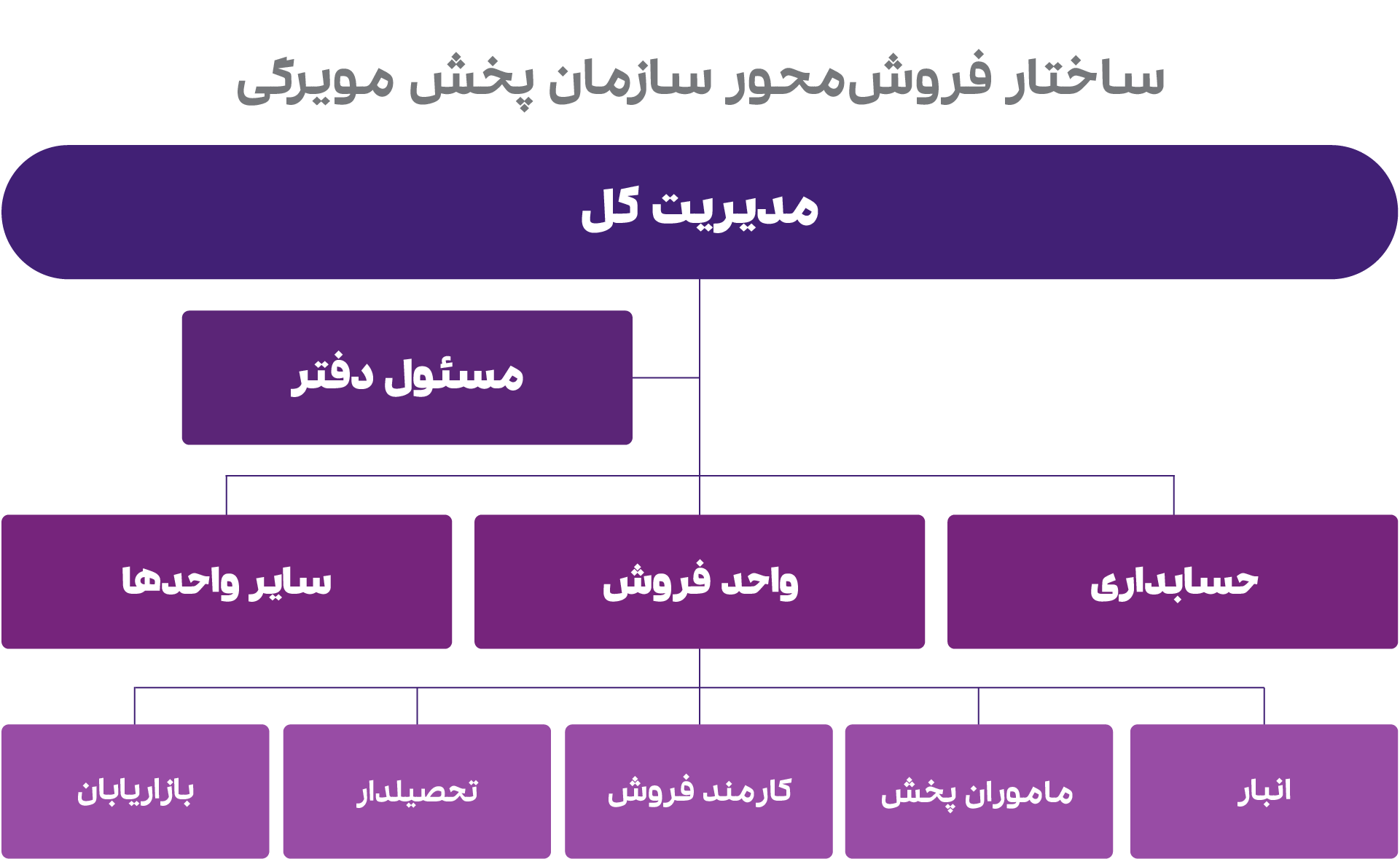 ساختار سازمانی شرکت پخش 