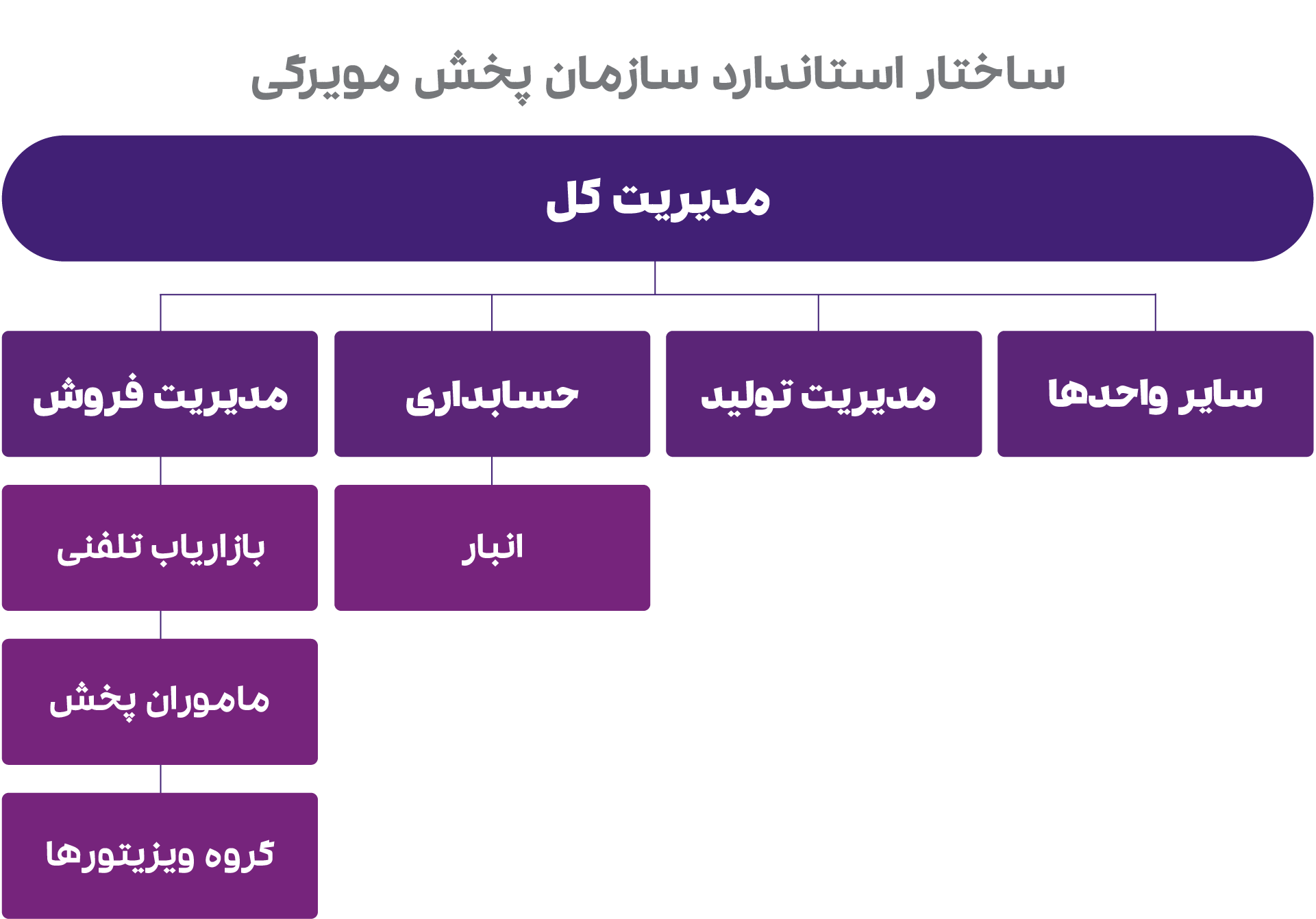 چارت سازمانی پخش مویرگی 