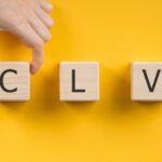 CLV چیست؟
